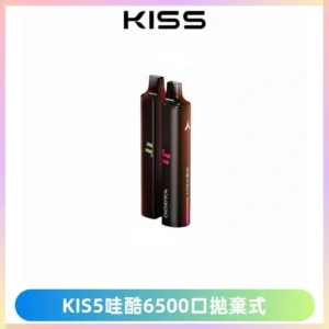 KIS5WAGOO哇酷6500口拋棄式 | 自由混搭雙口味 | 雙芯組合